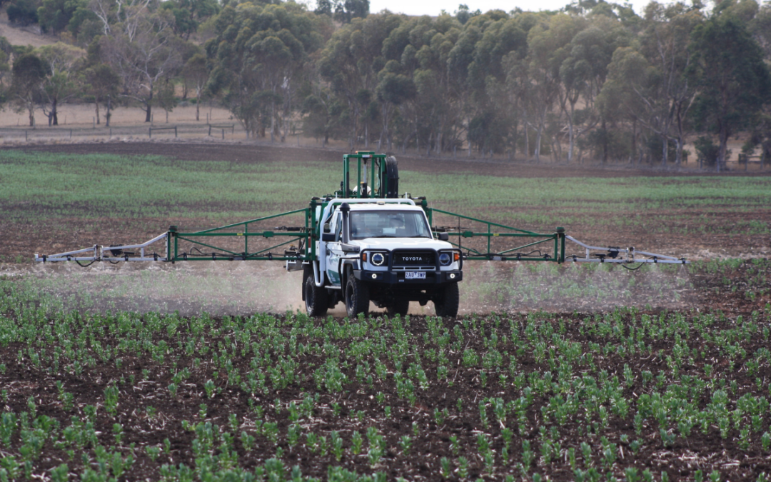 Rencon Puts the Toyota 4-Cylinder LandCruiser to the Test