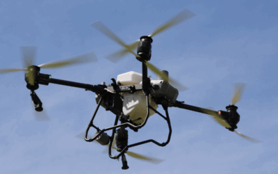 Smart Spraying Choices — What’s Best for Your Property?