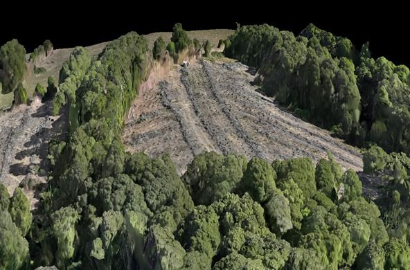 3D LiDAR model of a forestry site
