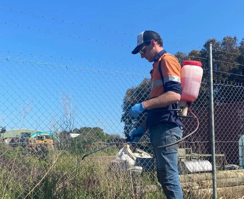back-pack-weed-spraying back-pack-weed-spraying